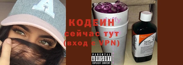 спиды Каменногорск