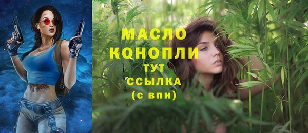 спиды Каменногорск