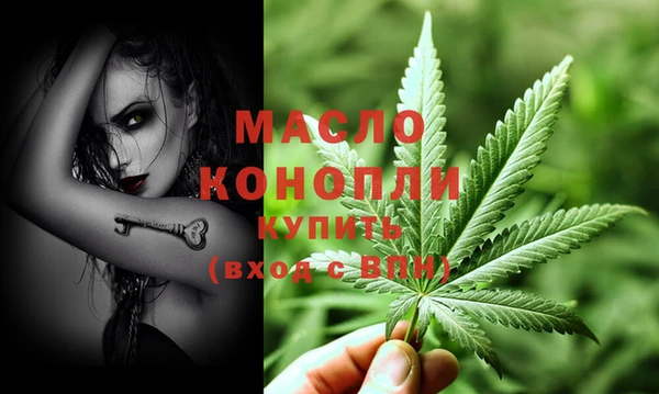спиды Каменногорск