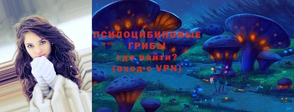 спиды Каменногорск