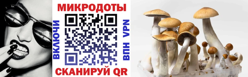 Псилоцибиновые грибы Magic Shrooms  Купить где  Гулькевичи 